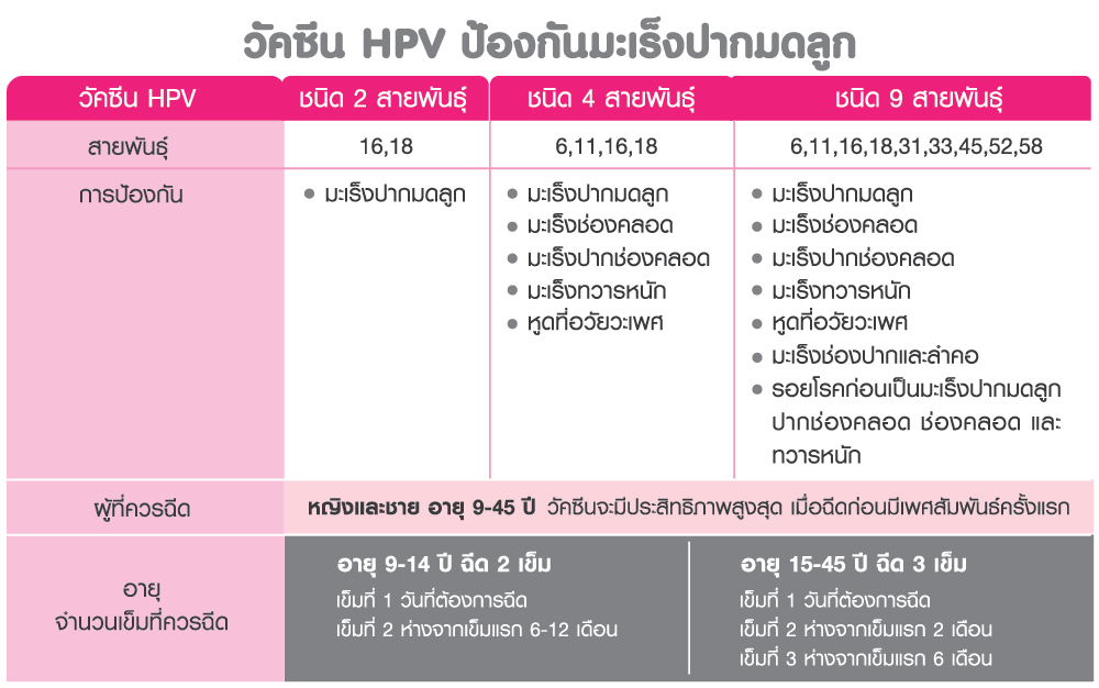 HPV, มะเร็งปากมดลูก, Human Papilloma Virus, เอชพีวี, Cervical Cancer, มะเร็งนรีเวช, มะเร็งช่องคลอด,มะเร็งปากช่องคลอด,มะเร็งอวัยวะเพศชาย, มะเร็งทวารหนัก, มะเร็งช่องปาก, หูดหงอนไก่, วัคซีนHPV, วัคซีนป้องกันมะเร็งปากมดลูก